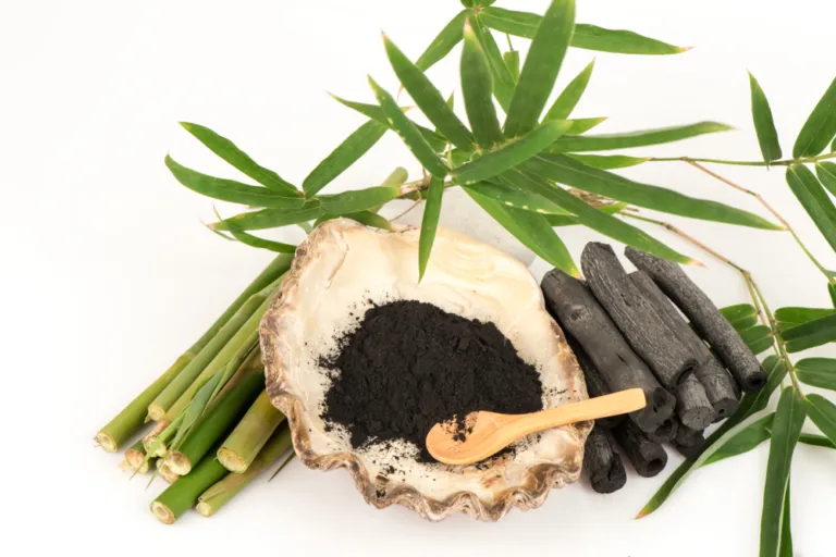 All Things Being Eco - Activated Bamboo Charcoal Powder