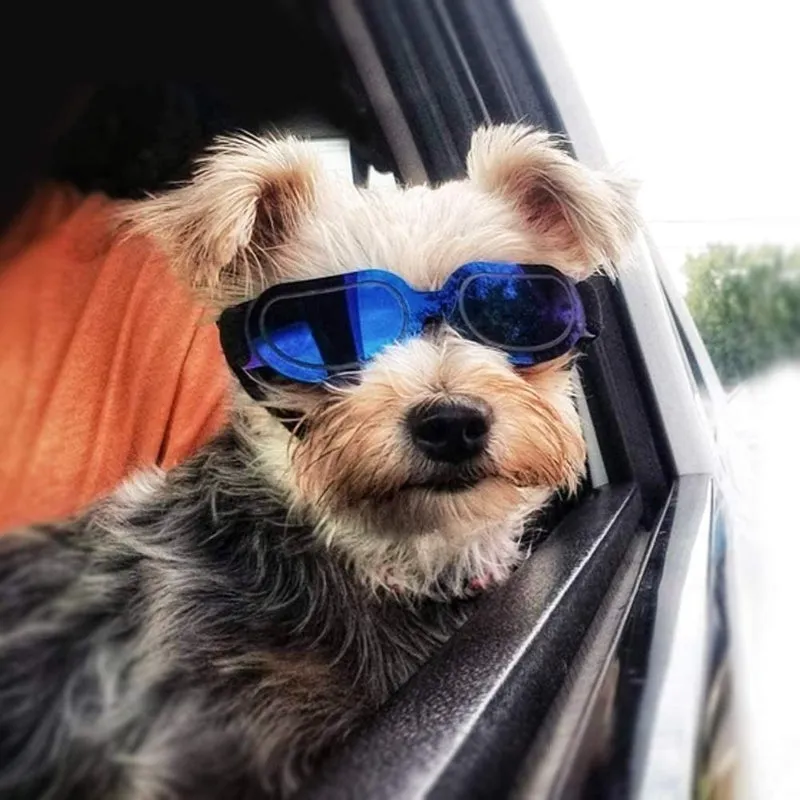 Dog Goggles Small Dog Sunglasses UV Protection Big Cat Glasses Fog/Windproof Outdoor Doggy Eye Protective with Adjustable Band for Small Dogs
