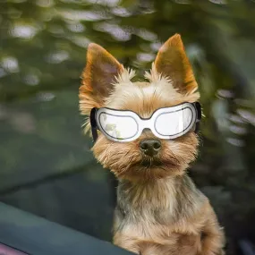 Dog Goggles Small Dog Sunglasses UV Protection Big Cat Glasses Fog/Windproof Outdoor Doggy Eye Protective with Adjustable Band for Small Dogs
