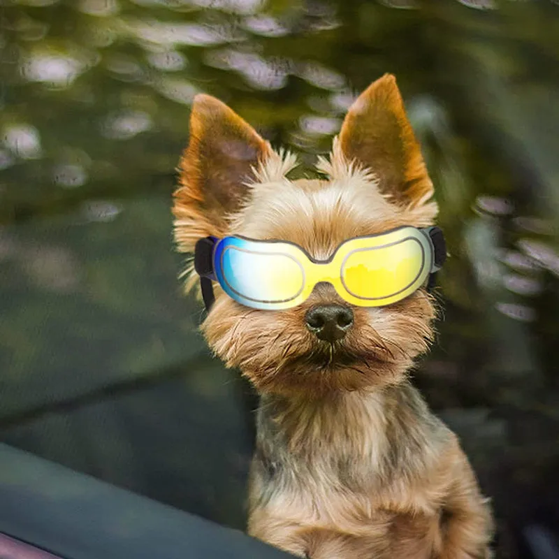 Dog Goggles Small Dog Sunglasses UV Protection Big Cat Glasses Fog/Windproof Outdoor Doggy Eye Protective with Adjustable Band for Small Dogs