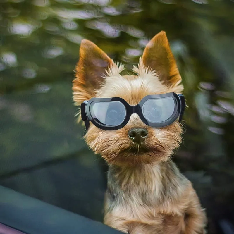 Dog Goggles Small Dog Sunglasses UV Protection Big Cat Glasses Fog/Windproof Outdoor Doggy Eye Protective with Adjustable Band for Small Dogs