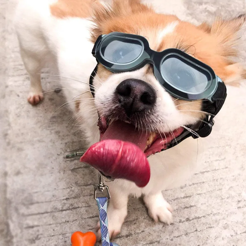 Dog Goggles Small Dog Sunglasses UV Protection Big Cat Glasses Fog/Windproof Outdoor Doggy Eye Protective with Adjustable Band for Small Dogs
