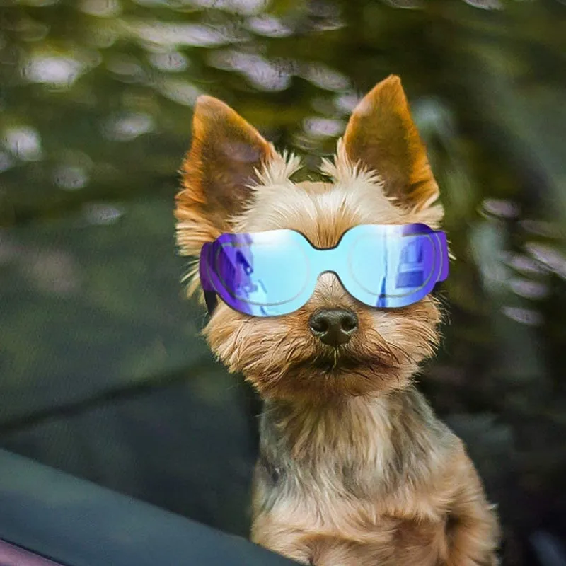 Dog Goggles Small Dog Sunglasses UV Protection Big Cat Glasses Fog/Windproof Outdoor Doggy Eye Protective with Adjustable Band for Small Dogs