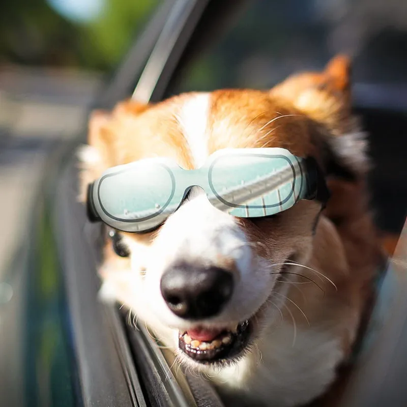 Dog Goggles Small Dog Sunglasses UV Protection Big Cat Glasses Fog/Windproof Outdoor Doggy Eye Protective with Adjustable Band for Small Dogs