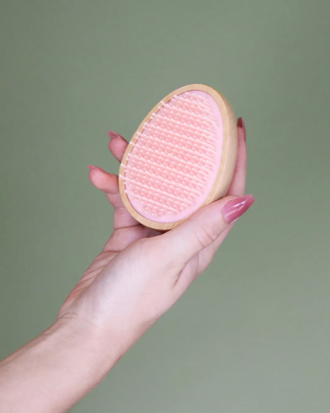 Eco Beech Wood Travel Brush