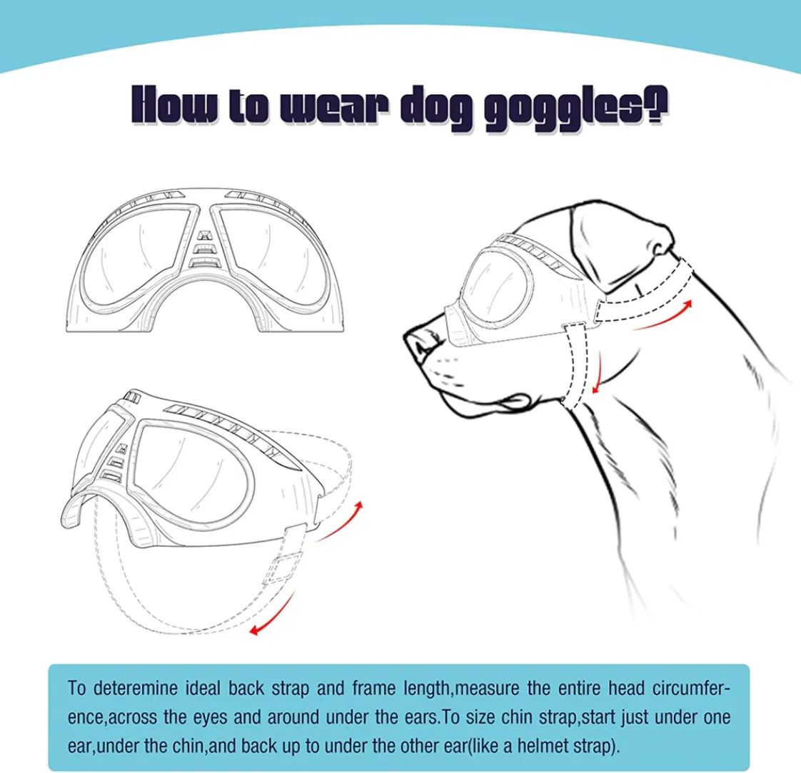 QUMY Large Dog Goggles UV